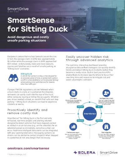 SD-Sitting-Duck